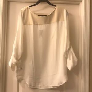 Ann Taylor dress shirt